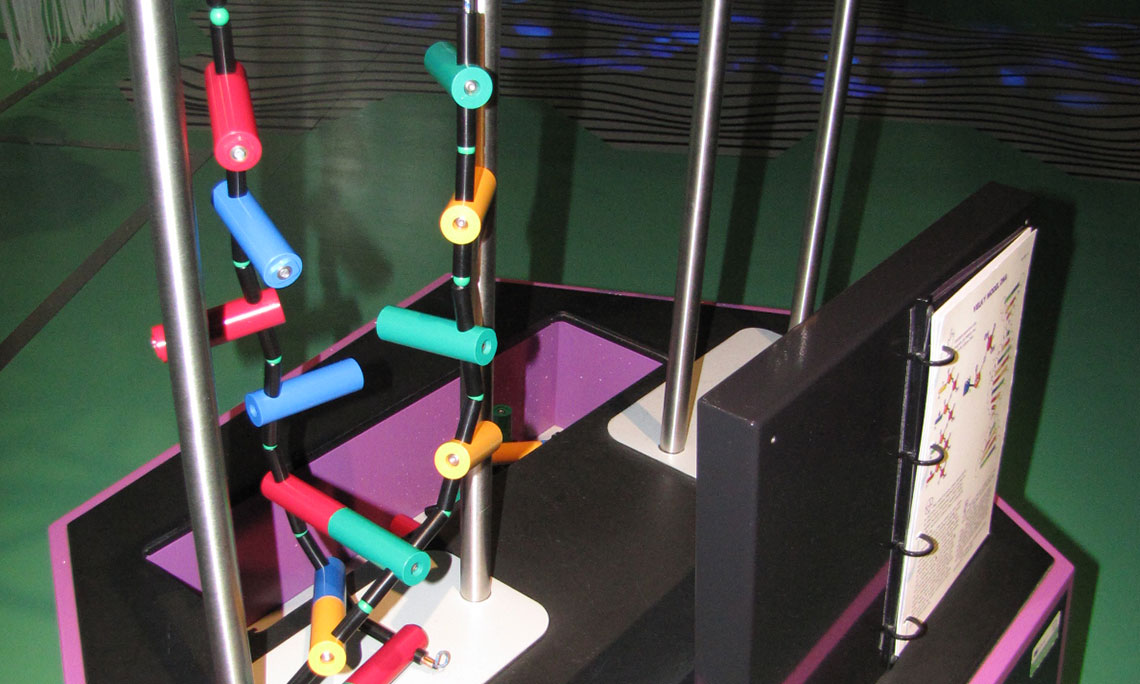 Velký model DNA